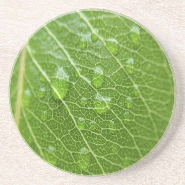 Posavasos Leaf verde (Frente)