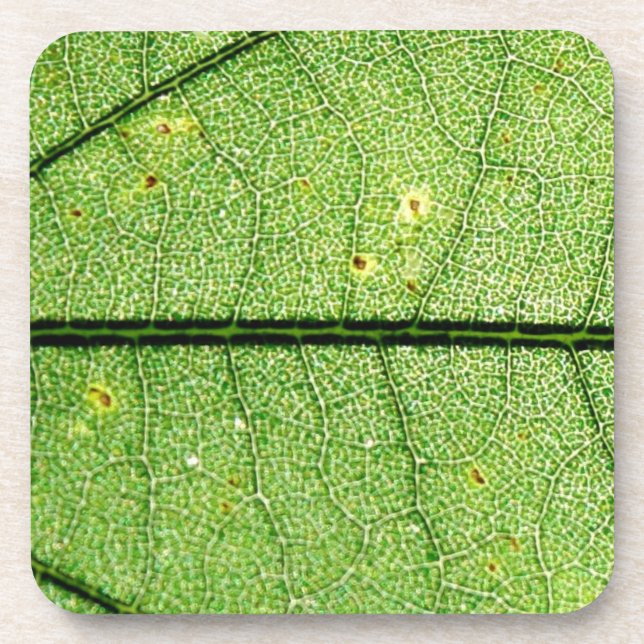 Posavasos Leaf verde extremo (Frente)