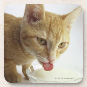 Posavasos Leche de consumo del gato