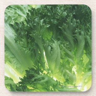 Posavasos Lechuga de hoja