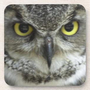 Posavasos Lechuza En La Cara