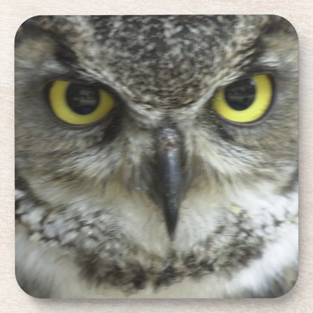 Posavasos Lechuza En La Cara (Frente)