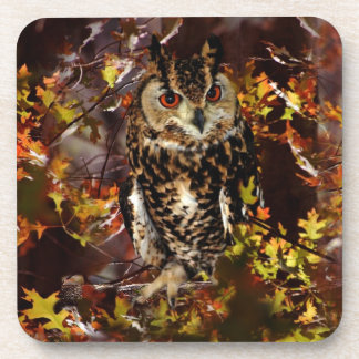 Posavasos Lechuza en otoño