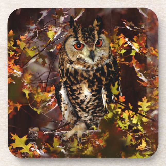 Posavasos Lechuza en otoño (Frente)