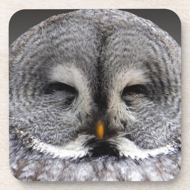 Posavasos Lechuza feliz (Frente)