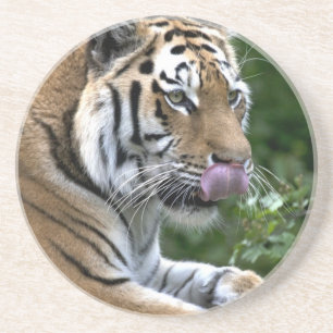 Posavasos Lengua tigre