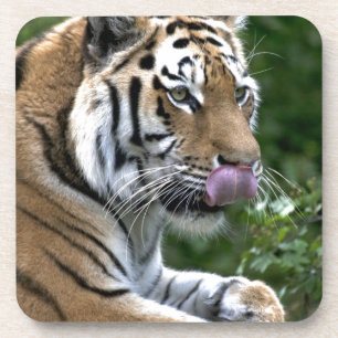 Posavasos Lengua tigre