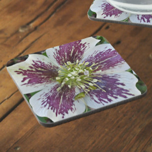 Posavasos Lenten Rosa Hellebore Floral