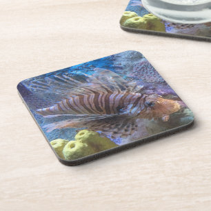 Posavasos León