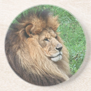 Posavasos León 001
