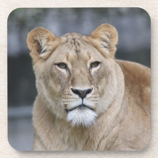 Posavasos León 004 (Frente)