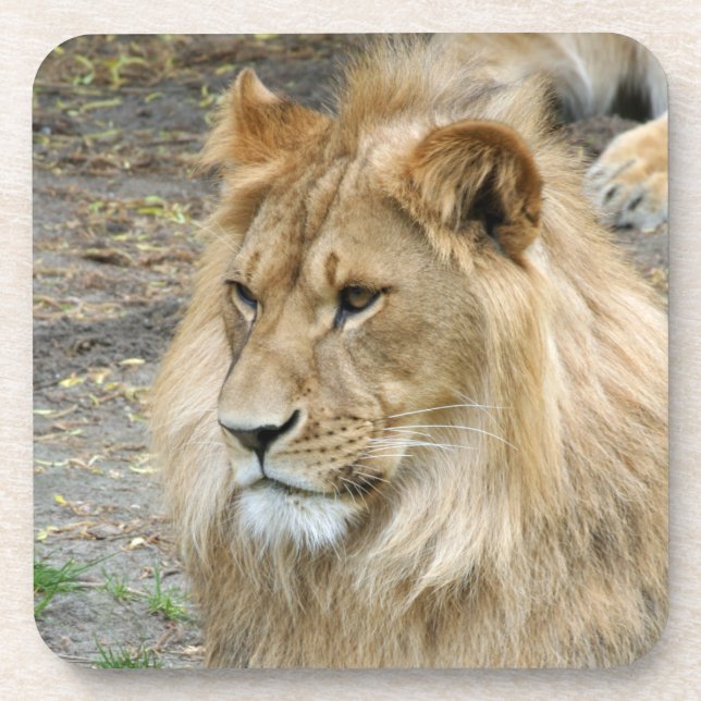 Posavasos León 011 (Frente)