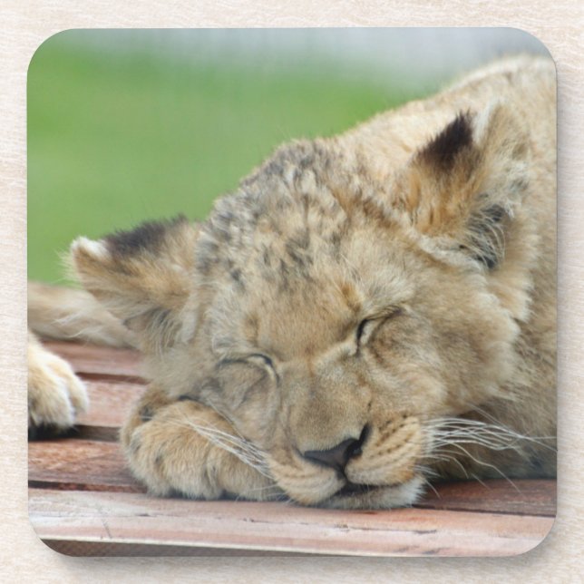 Posavasos León 014 (Frente)