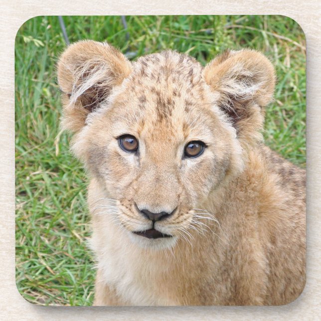 Posavasos León 016 (Frente)