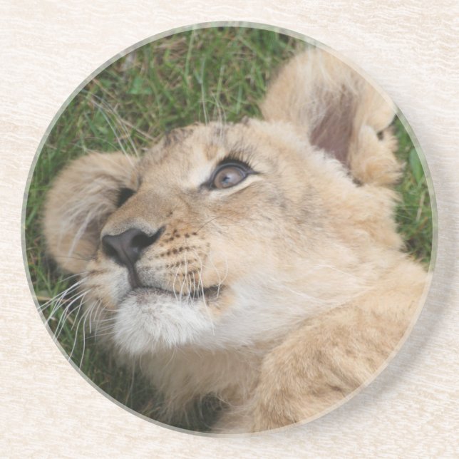 Posavasos León 022 (Frente)