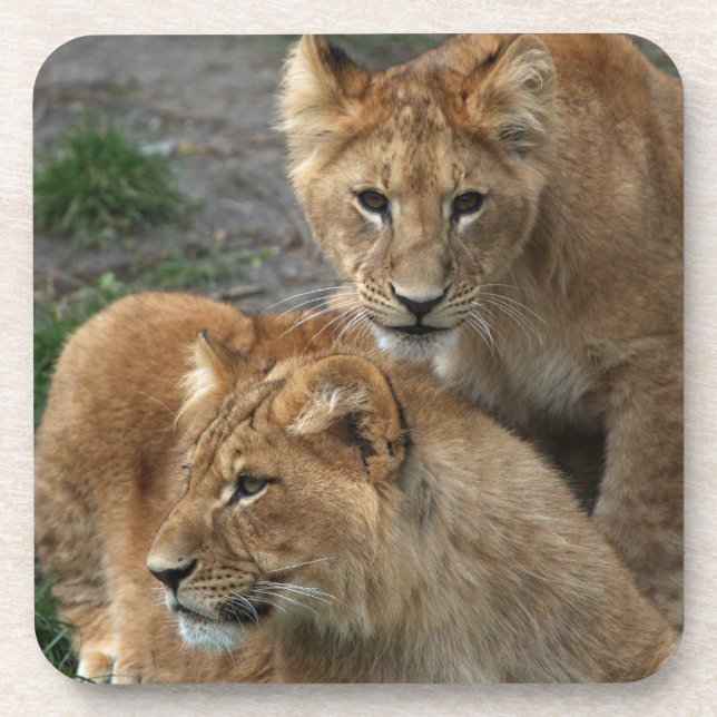 Posavasos León 033 (Frente)