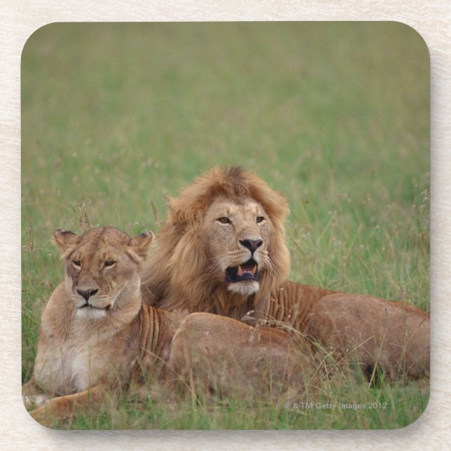 Posavasos León 2 (Frente)