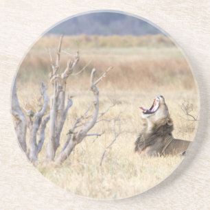 Posavasos León de Yawning