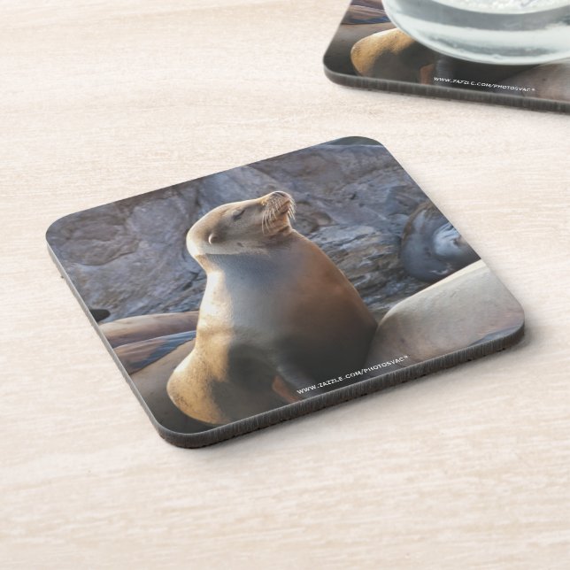 Posavasos León marino (Lado Izquierdo)