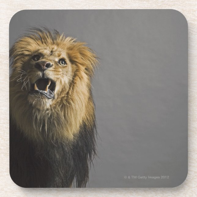 Posavasos León que ruge (Frente)