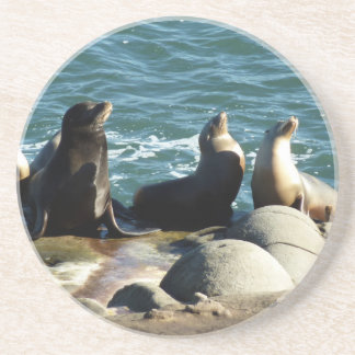 Posavasos Leones del mar de San Diego