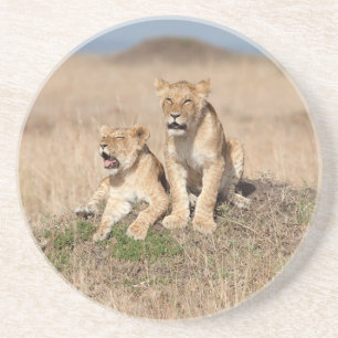 Posavasos Leones jóvenes