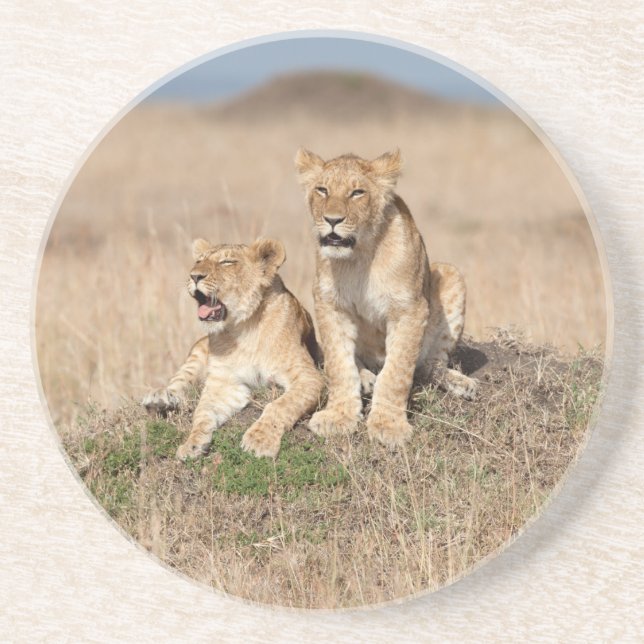 Posavasos Leones jóvenes (Frente)