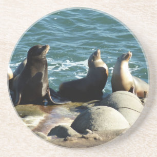 Posavasos Leones marinos de San Diego