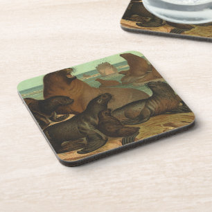 Posavasos Leones marinos en la playa, vida marina animal vin