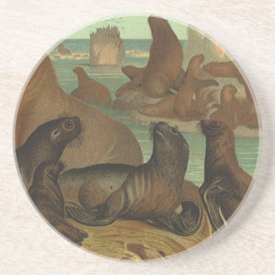 Posavasos Leones marinos en la playa, vida marina animal vin