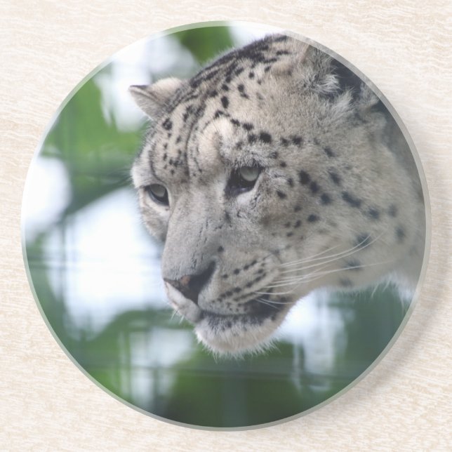 Posavasos Leopard 003 (Frente)