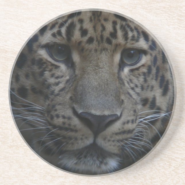 Posavasos Leopard Coasters (Frente)
