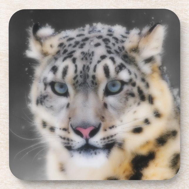 Posavasos Leopardo de la nieve (Frente)