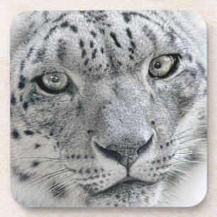 Posavasos Leopardo de la nieve blanca exótica