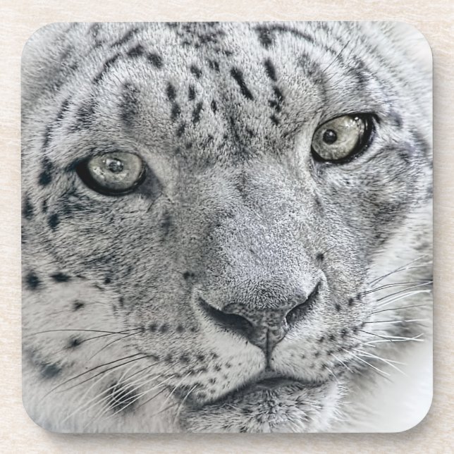 Posavasos Leopardo de la nieve blanca exótica (Frente)