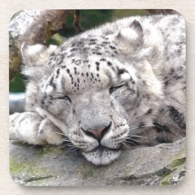 Posavasos Leopardo de la nieve - ¡hermoso! (Frente)