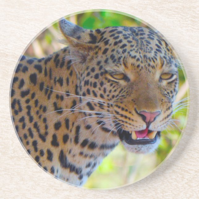 Posavasos Leopardo localizado (Frente)
