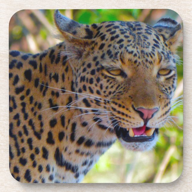 Posavasos Leopardo localizado (Frente)