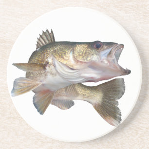 Posavasos Leucomas de la pesca