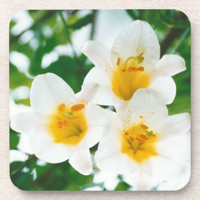 Posavasos Leyendas blancas - Símbolo de amor (Frente)