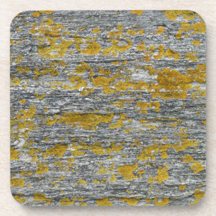 Posavasos lichens sur pierre de granit