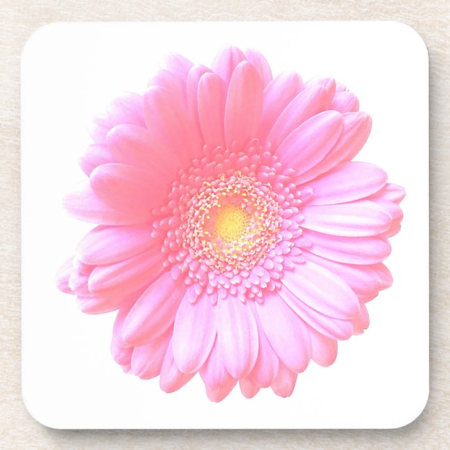 Posavasos Light pink gerbera daisy (Frente)