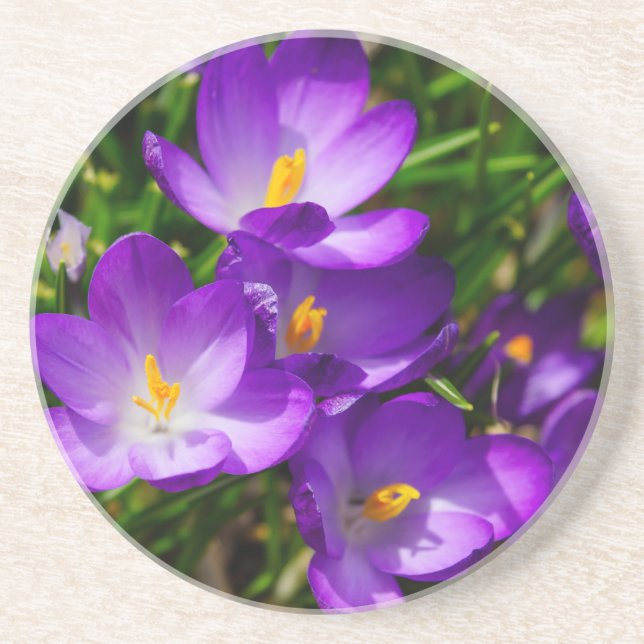 Posavasos Lilac Crocuses (Frente)