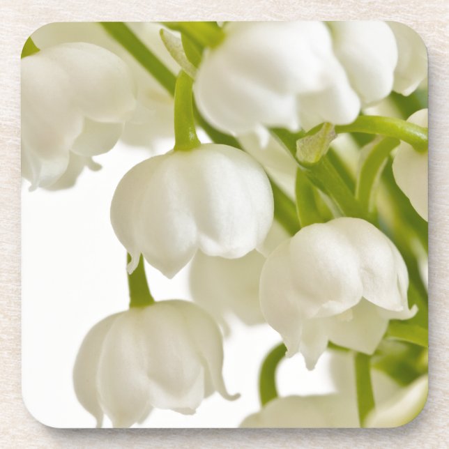 Posavasos Lilies blancos (Frente)