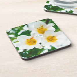 Posavasos Lilis blancas - Lilium candidum de flores de lirio