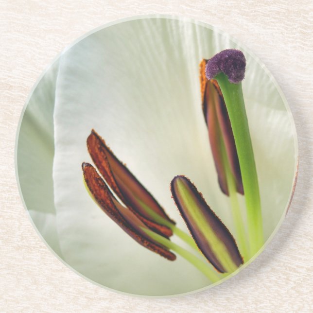 Posavasos Lilium Oriental White (Frente)