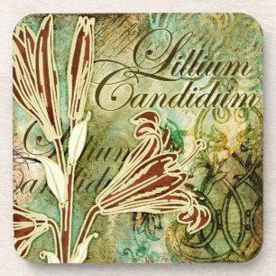 Posavasos Lillium Candidum