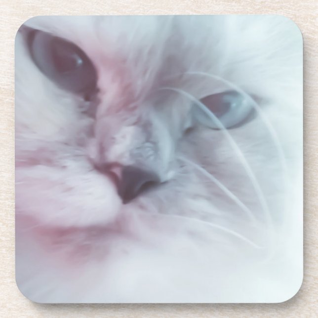 Posavasos Lilly (Frente)