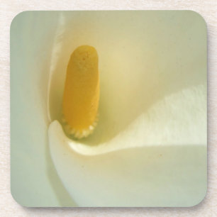 Posavasos Lilly Coasters