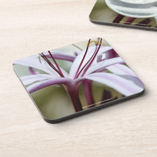 Posavasos Lily (Lado Izquierdo)
